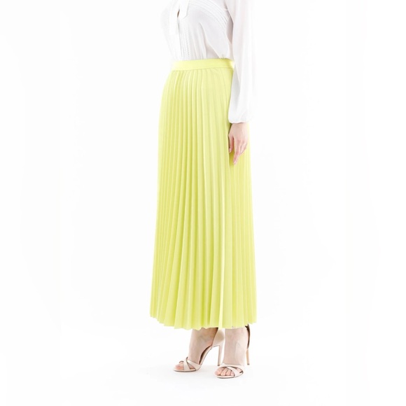 G-Line Women’s Pistachio Green Pleated Maxi Skirt with Elastic Waist Band - Picture 3 of 6